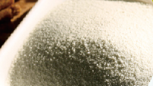 Vitamina E
